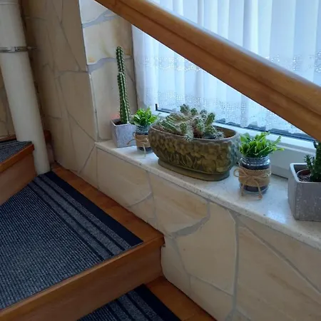 Frühstückspension Viola Vendeghaz 3*