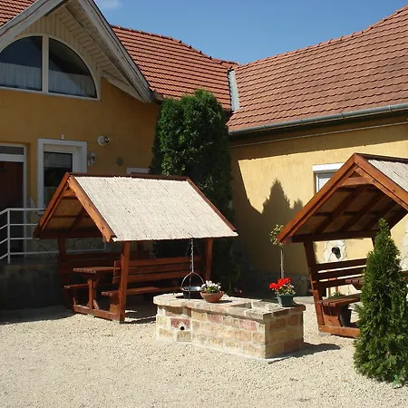 Viola Vendeghaz Pápa