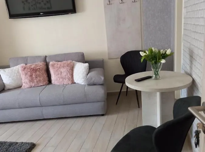 Viola Vendeghaz Pápa
