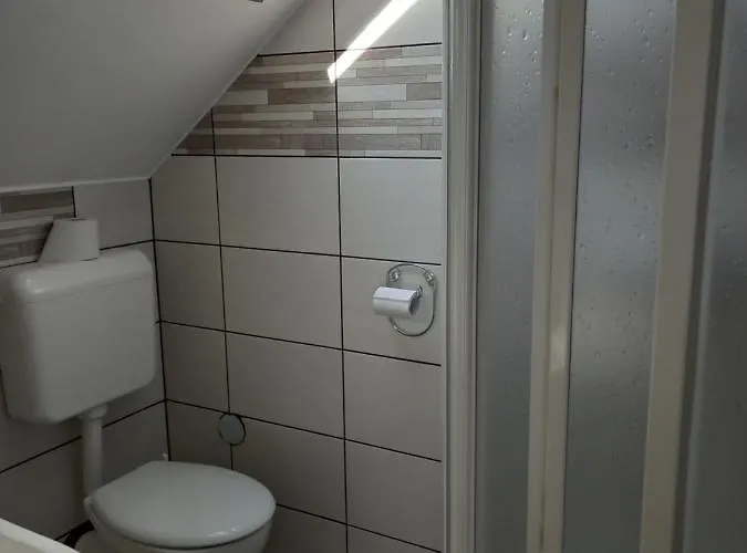 Bed & Breakfast Viola Vendeghaz 3*